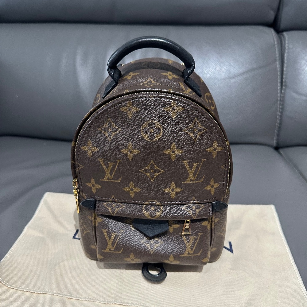 Louis Vuitton Palm Springs Mini